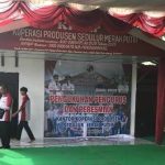 KP SMP