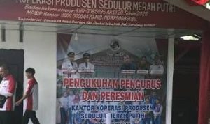 KP SMP