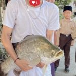 Ikan_raksasa