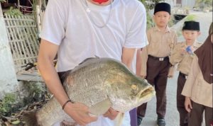 Ikan_raksasa