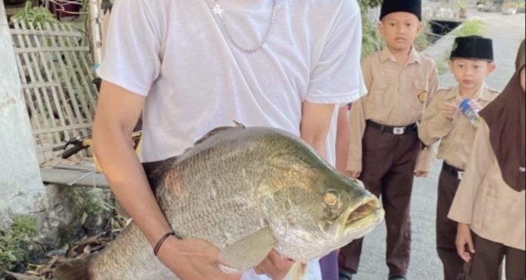 Ikan_raksasa